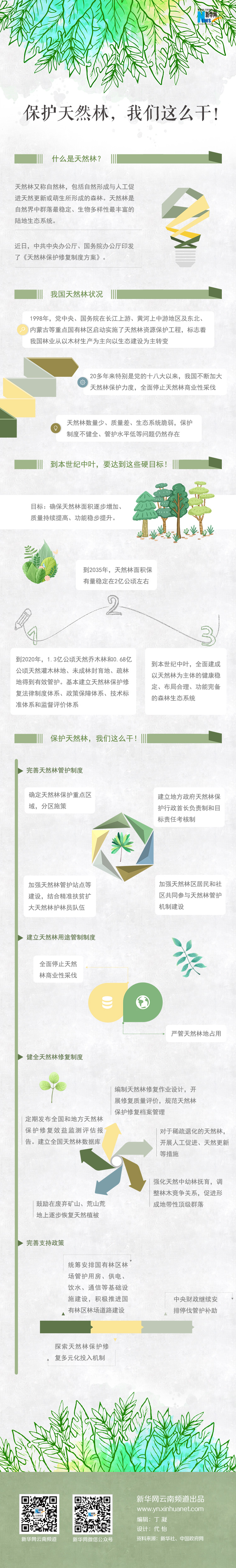 2020年國(guó)家公務(wù)員考試時(shí)政：保護(hù)天然林，我們這么干！